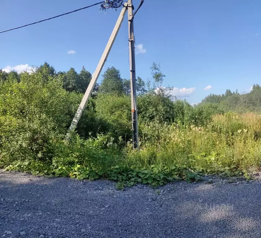 Участок в Вологодская область, Череповец Якунинская ул. (9.0 сот.) - Фото 1