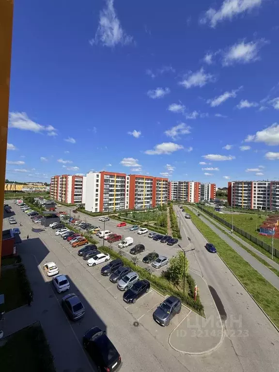 Студия Санкт-Петербург просп. Буденного, 23к1 (24.4 м) - Фото 1