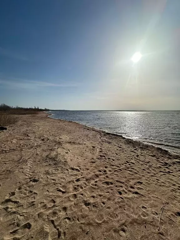 Участок в Псковская область, Гдов городское поселение, д. Луневщина  ... - Фото 1