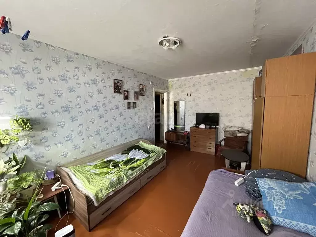 1-к кв. Краснодарский край, Белореченск ул. Чапаева, 58 (29.7 м) - Фото 1