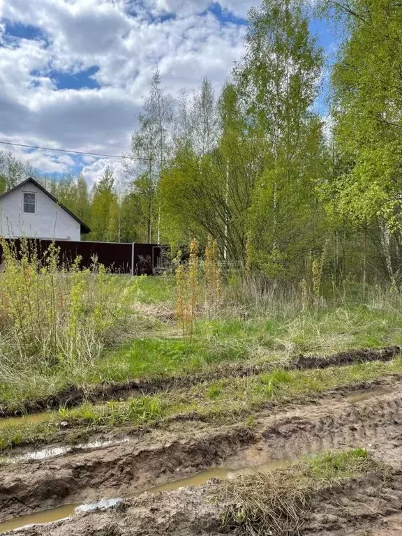 Участок в Владимирская область, Собинка ул. Любимая, 16 (10.0 сот.) - Фото 1