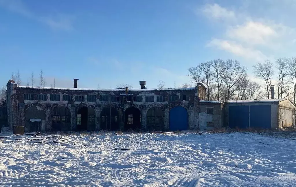 Помещение свободного назначения в Ярославская область, Данилов  (2585 ... - Фото 1