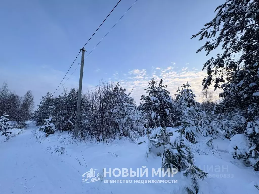 Участок в Нижегородская область, Бор Автомобилист СНТ, 84 (5.35 сот.) - Фото 2