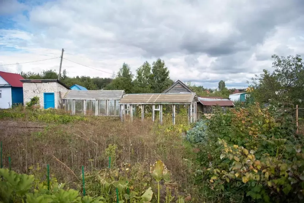 Дальняя зеленодольск. СНТ. Улица Кооперативная Зеленодольск. Загородная 2 Зеленодольск. Улица Дальняя Зеленодольск.