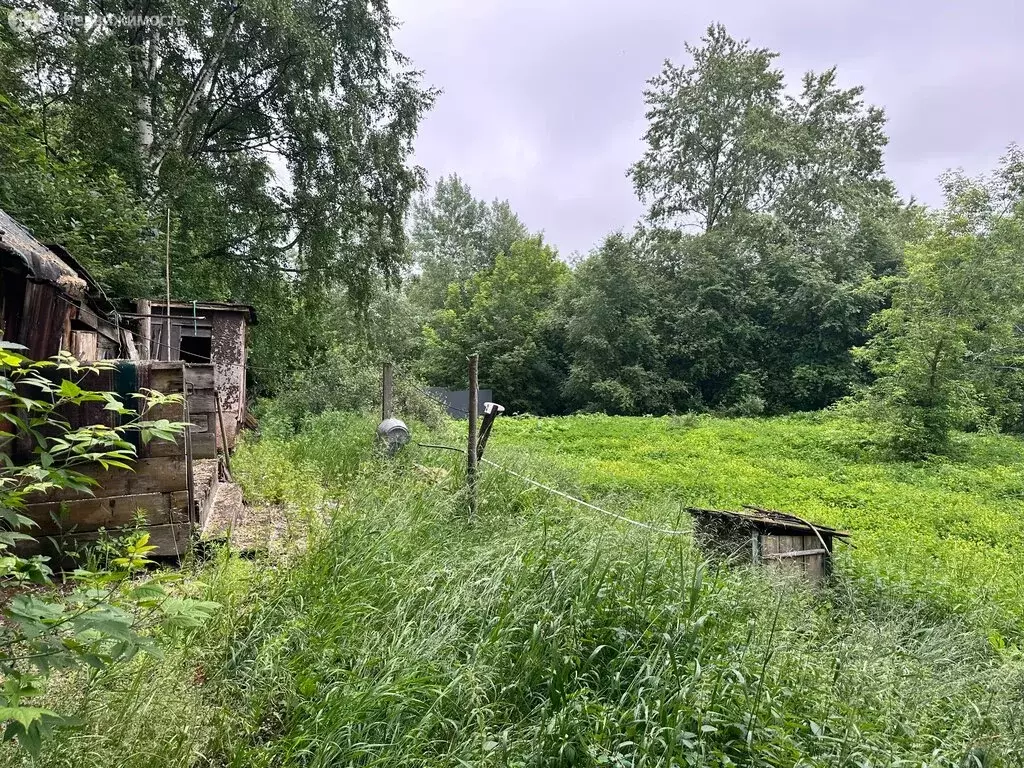 Участок в Пермь, улица 1-я Линия (11.75 м) - Фото 2