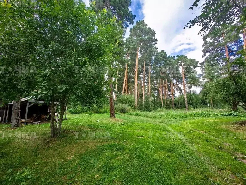 2-к кв. Челябинская область, Чебаркуль СМУ тер., 30 (42.0 м) - Фото 2