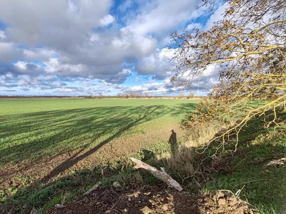 Участок в Краснодарский край, Темрюк Автомобилист СНТ, ул. Ореховая, ... - Фото 2