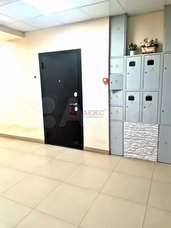 Квартира-студия, 26 м, 6/6 эт. - Фото 1