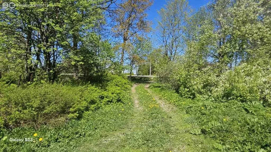 Участок в Волосовский район, Бегуницкое сельское поселение, деревня ... - Фото 1