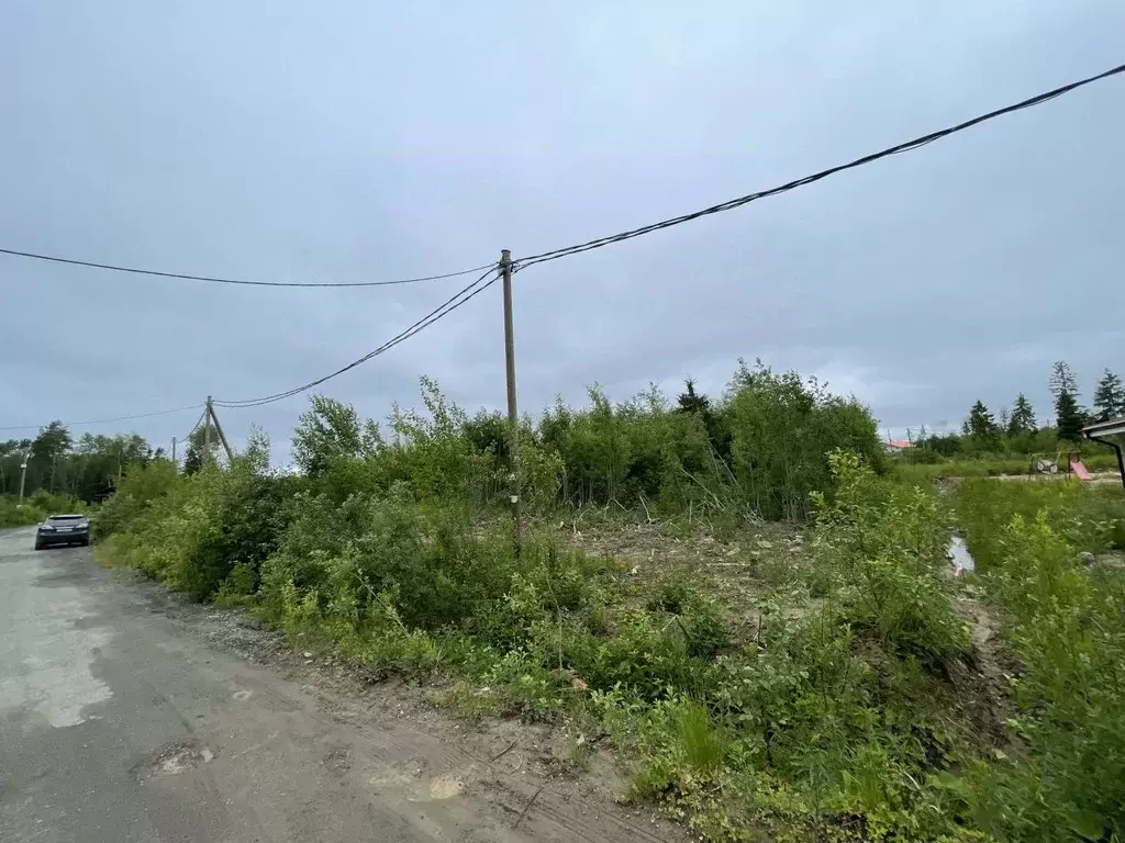 Участок в Карелия, Петрозаводск проезд Лахденпохский (10.0 сот.) - Фото 1