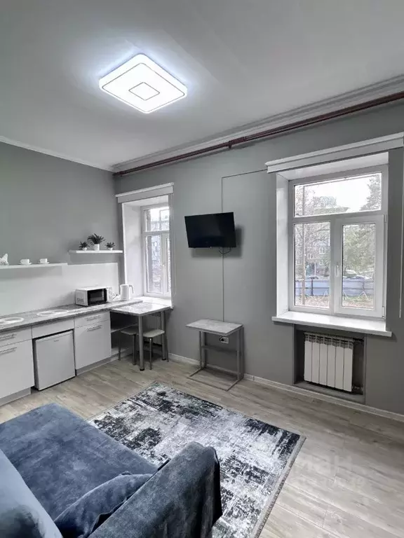 2-к кв. Алтайский край, Барнаул Новороссийская ул., 7 (27.0 м) - Фото 1