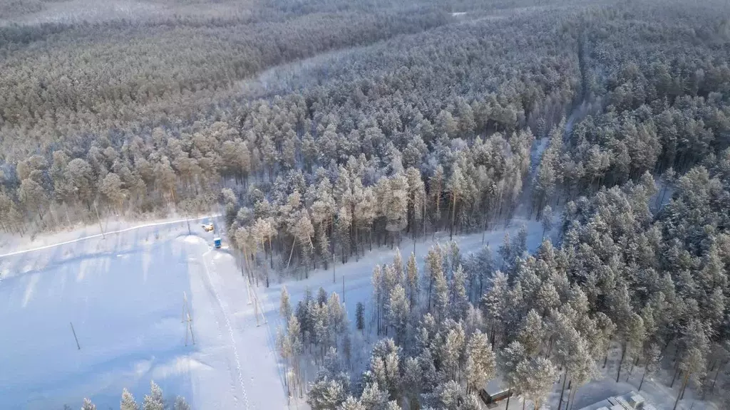 Участок в Ханты-Мансийский АО, Сургут Маяк СНТ, ул. Соркутская (9.0 ... - Фото 0