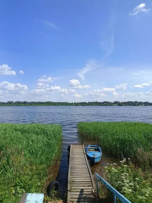 Участок в Тверская область, Конаковский муниципальный округ, д. ... - Фото 1