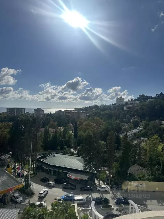 2-к кв. Краснодарский край, Сочи ул. Володарского, 6к2 (56.8 м) - Фото 2