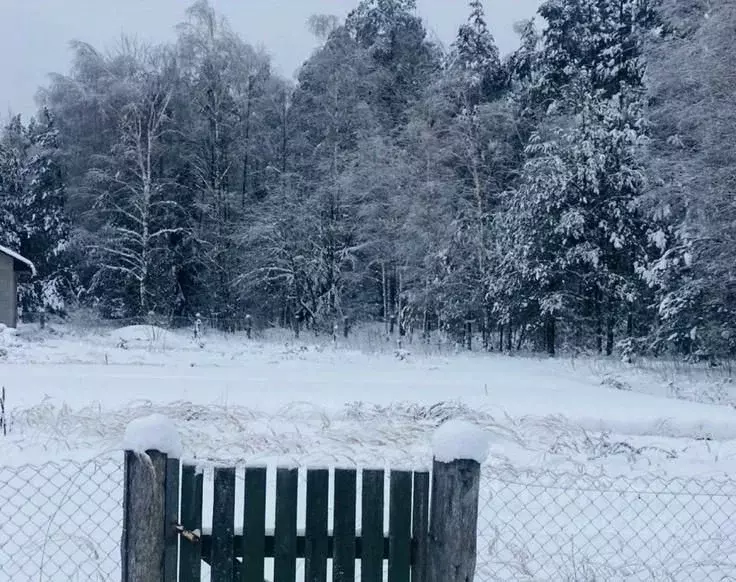 Участок в Московская область, Балашиха Салтыковка мкр, Московская ул. ... - Фото 2