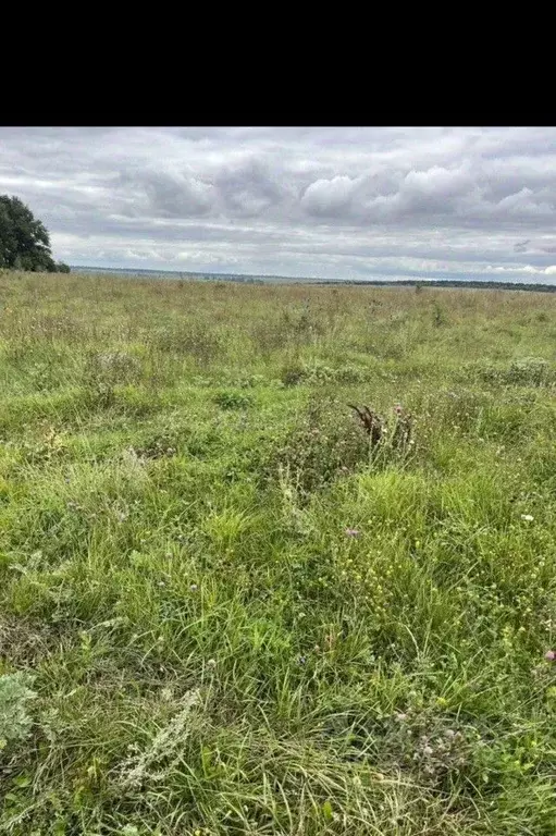 Участок в Тульская область, Чернский район, Северное с/пос, д. Поповка ... - Фото 1