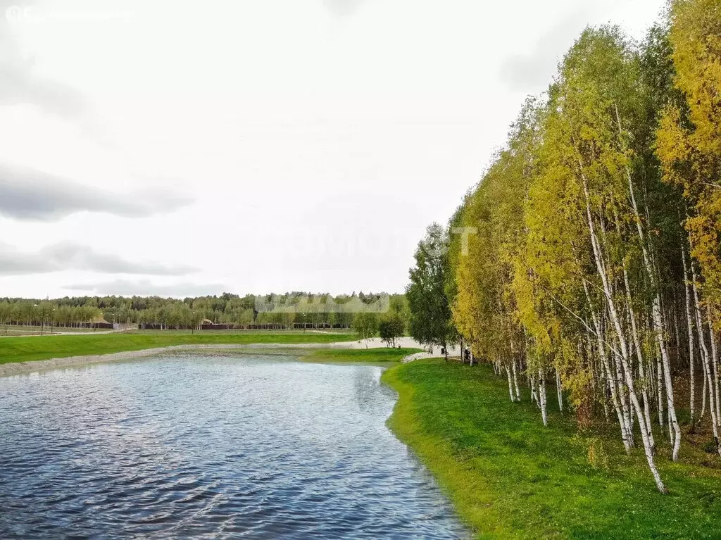 Участок в Московская область, городской округ Ступино, деревня ... - Фото 1