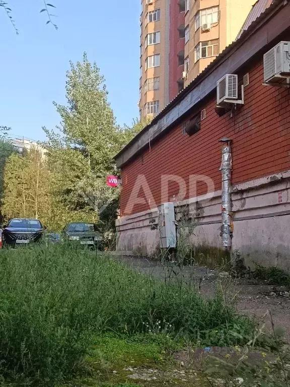 Помещение свободного назначения в Татарстан, Казань просп. Ямашева, ... - Фото 1