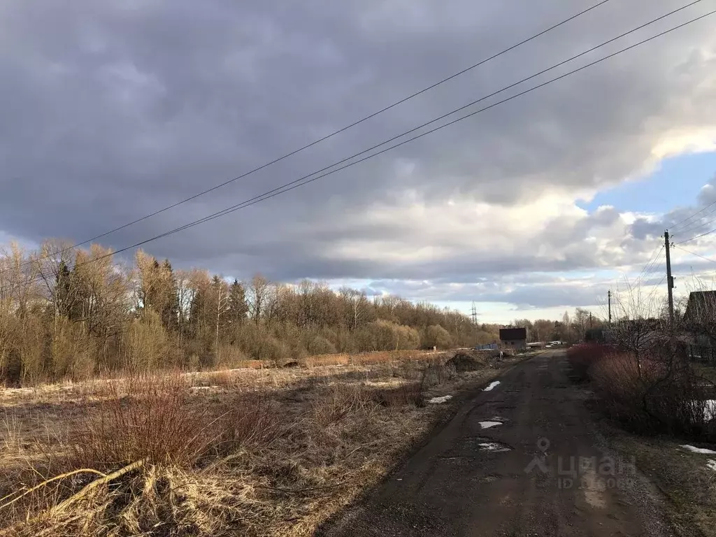 Участок в Калужская область, Малоярославецкий район, Михеево с/пос, д. ... - Фото 1