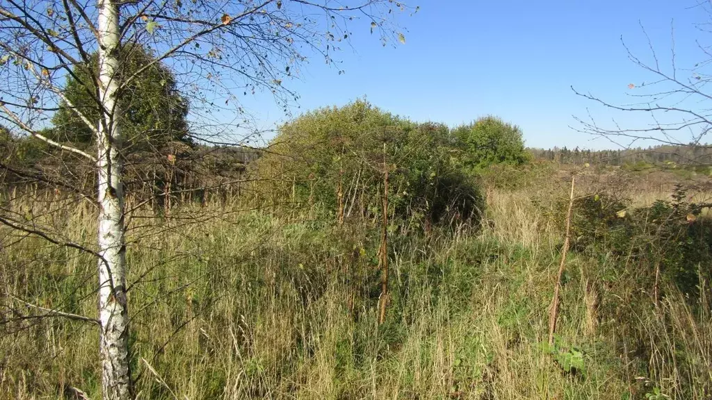 Участок в Московская область, Рузский муниципальный округ, д. Сафониха ... - Фото 2