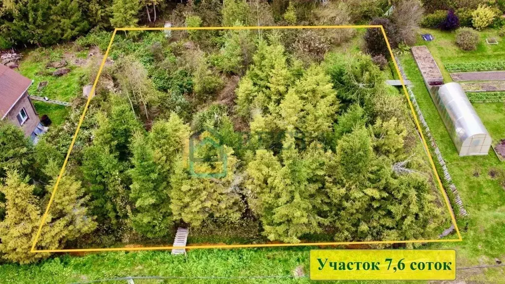 Участок в Ленинградская область, Выборгский район, Первомайское с/пос, ... - Фото 2