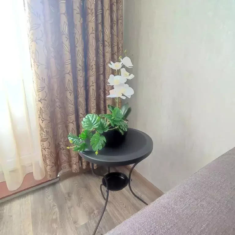 2-к кв. Камчатский край, Елизово Радужный пер., 1 (49.0 м) - Фото 2