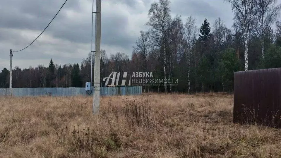 Участок в Московская область, Богородский городской округ, с. Ямкино ... - Фото 1