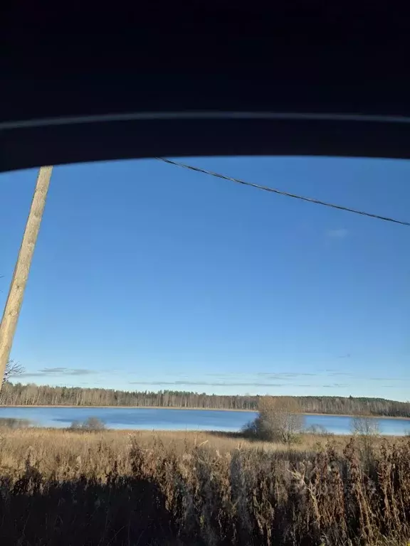 Участок в Ленинградская область, Выборгский район, Каменногорское ... - Фото 1