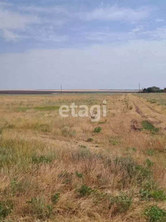 Участок в Крым, Черноморский район, с. Новоивановка ул. Дорожная (7.0 ... - Фото 0