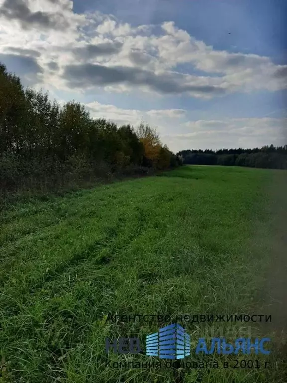 Участок в Ленинградская область, Гатчинский район, Рождественское ... - Фото 0