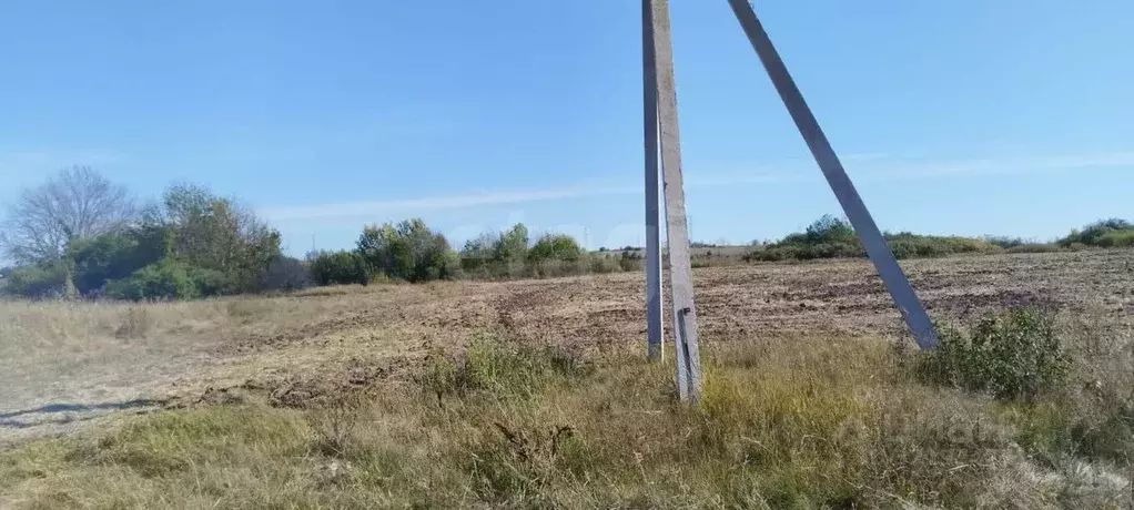 Участок в Белгородская область, Белгородский район, Беловское с/пос, ... - Фото 1