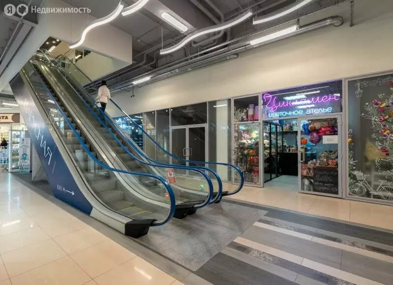 Торговая площадь (24.2 м) - Фото 1