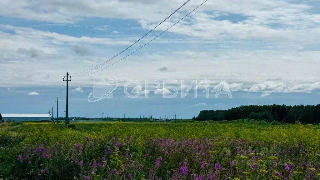 участок в тюменская область, тюменский район, с. горьковка (200.0 . - Фото 0