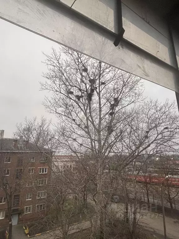 1-к кв. Тульская область, Тула Красноармейский просп., 52 (31.0 м) - Фото 1