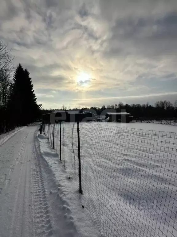 Участок в Псковская область, Псковский район, Ядровская волость, д. ... - Фото 2