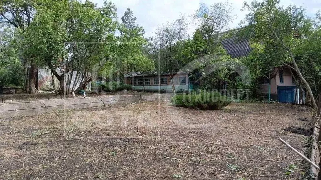 Дом в Воронежская область, Хохольский район, Гремяченское с/пос, Крона ... - Фото 1