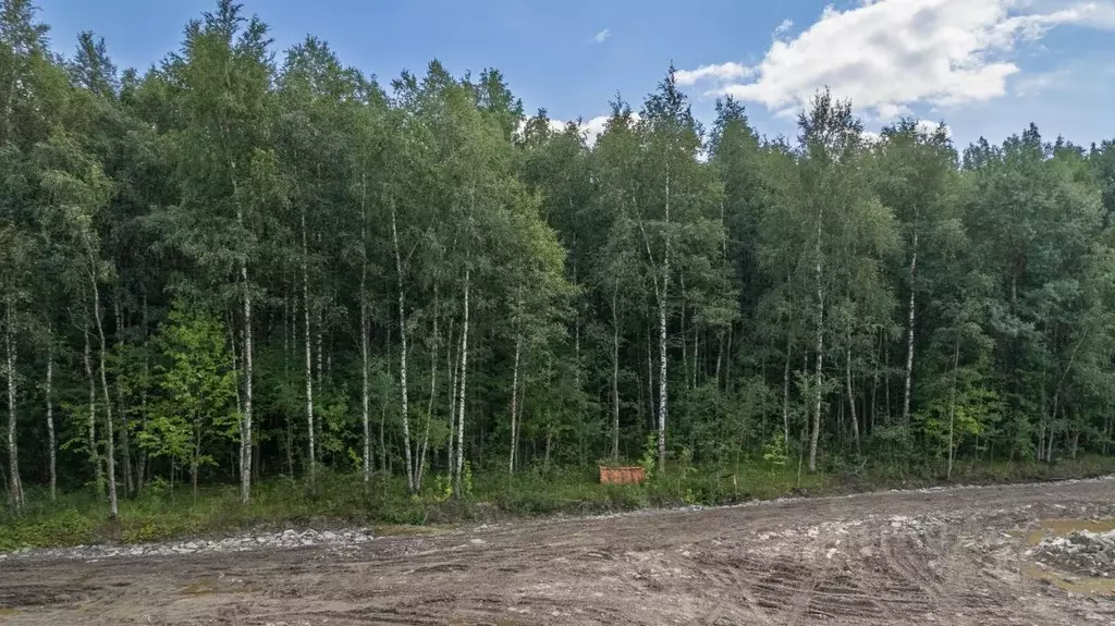 Участок в Ленинградская область, Всеволожский район, Заневское ... - Фото 2
