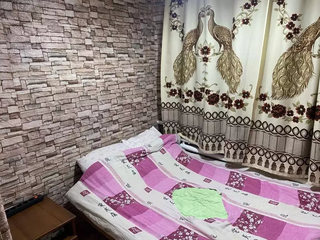Дом в Краснодарский край, Ейский район, Должанская ст-ца ул. Калинина, ... - Фото 1