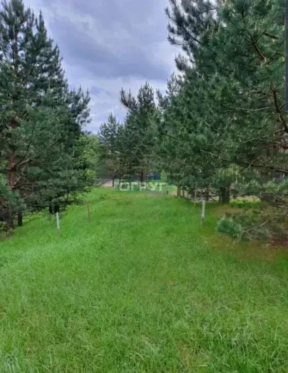 Участок в Пензенская область, Бессоновский район, Сосновский ... - Фото 1