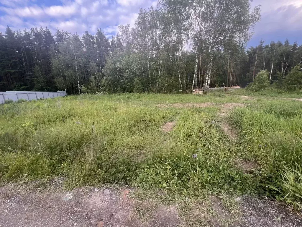 Участок в Московская область, Домодедово Бор кп, 61 (7.0 сот.) - Фото 1