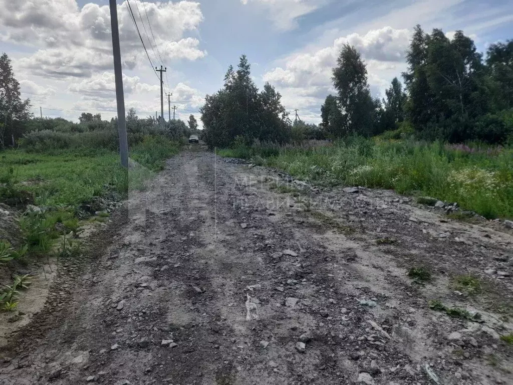 Участок в Тюменская область, Тюмень Поле Чудес садовое товарищество, ... - Фото 0