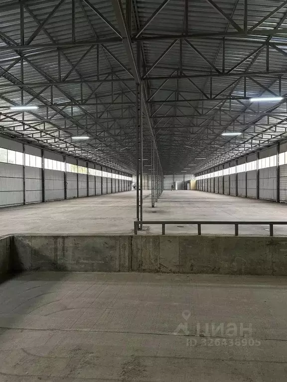 Склад в Краснодарский край, Краснодар пос. Индустриальный, пер. ... - Фото 1