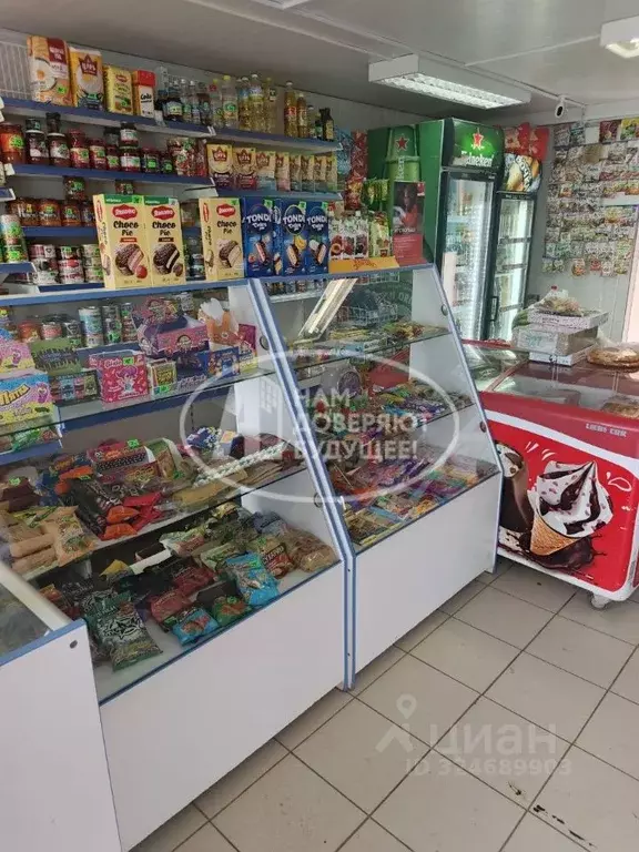 Торговая площадь в Пермский край, Чернушинский муниципальный округ, д. ... - Фото 1