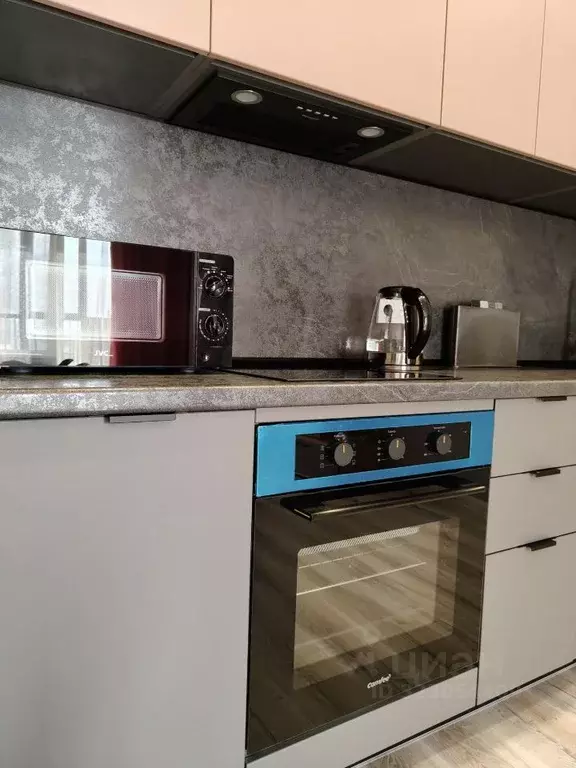 Студия Новосибирская область, Новосибирский район, Мочищенский ... - Фото 2