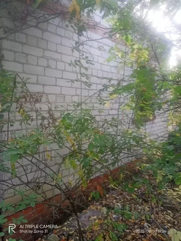 Дом в Белгородская область, Белгородский район, Беломестненское с/пос, ... - Фото 2