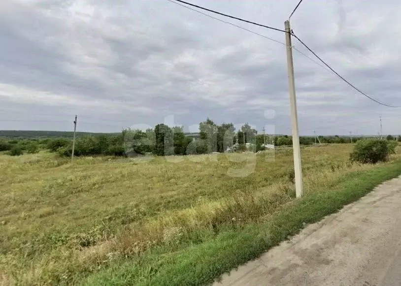 Участок в Воронежская область, Семилукский район, с. Губарево ул. ... - Фото 1