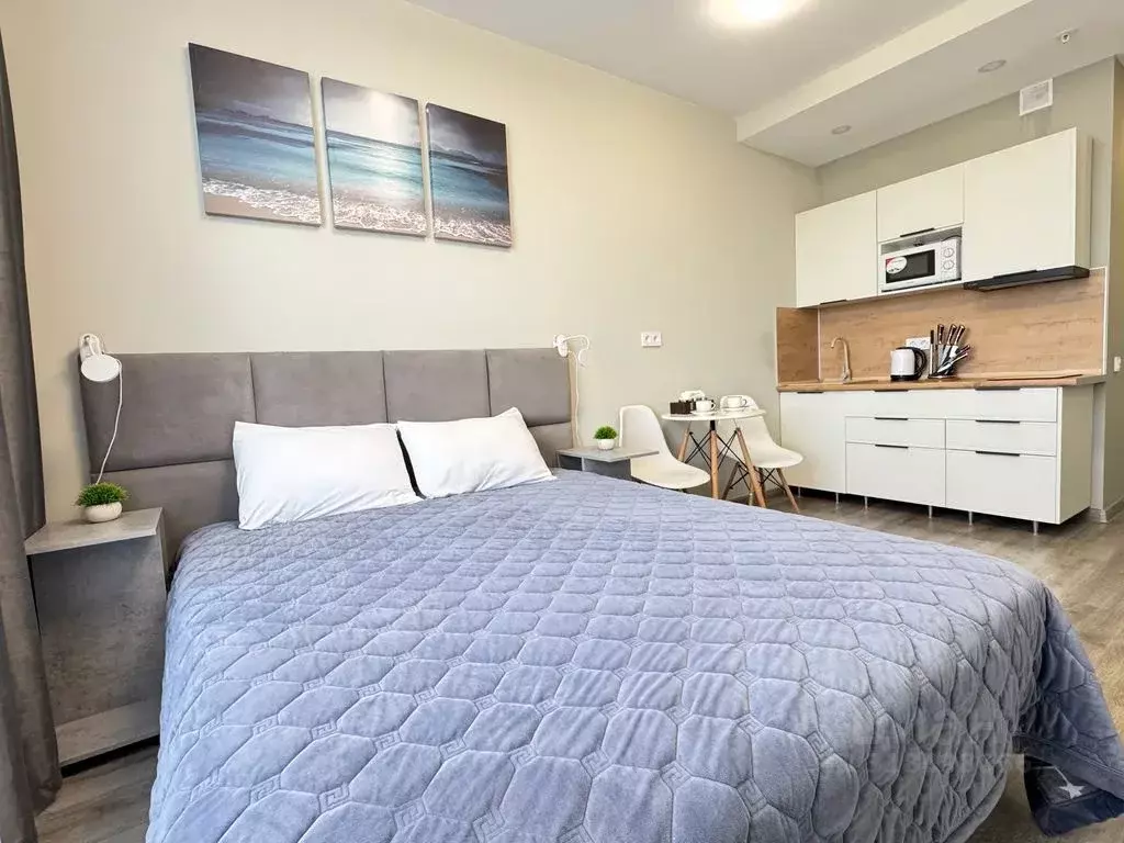 Студия Санкт-Петербург Витебский просп., 99к1 (25.0 м) - Фото 1