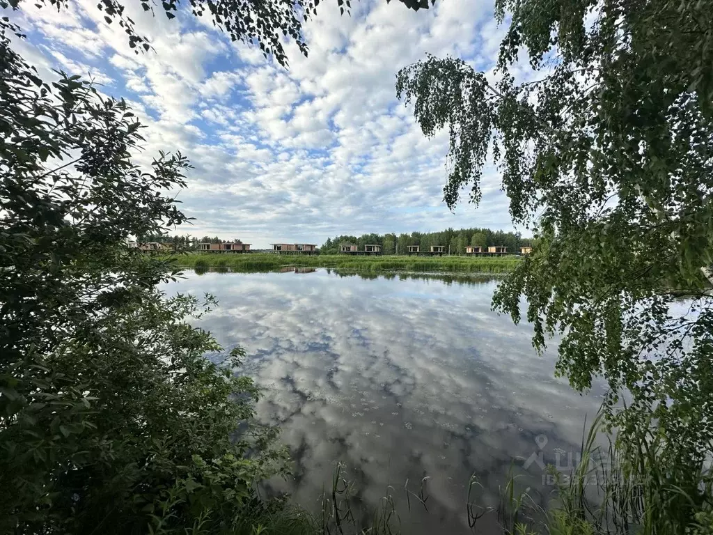 Участок в Тверская область, Конаково ул. Крутые берега, 4 (40.0 сот.) - Фото 2