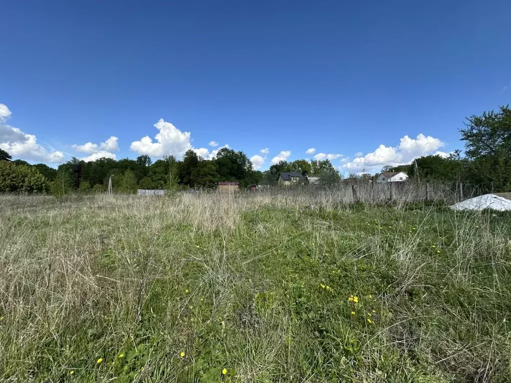 Участок в Московская область, Луховицы муниципальный округ, с. Городна ... - Фото 0