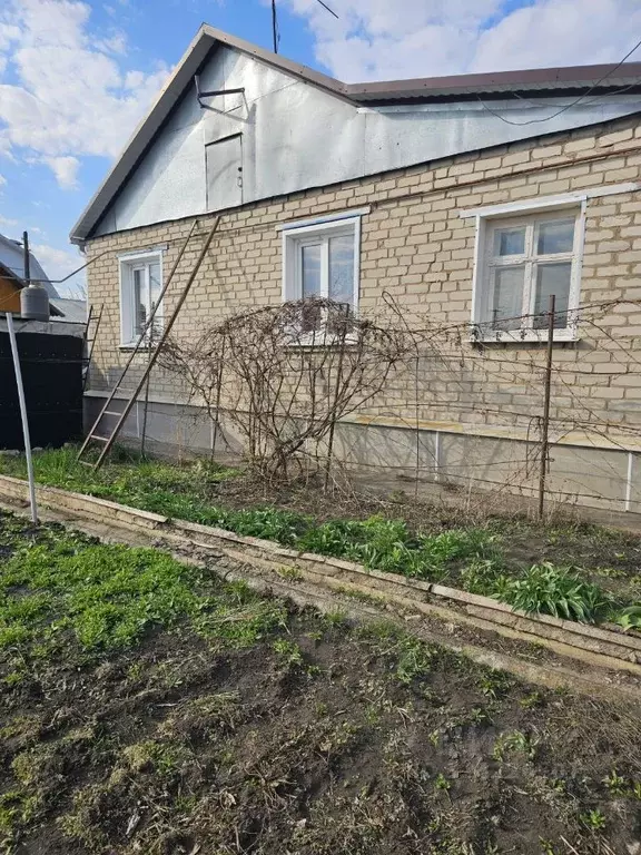 Дом в Воронежская область, с. Репьевка ул. Спортивная (61 м) - Фото 1